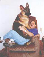 One thing you can be sure to expect from your German Shepherd Dog - lots of loyal affection!